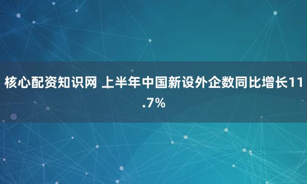 核心配资知识网 上半年中国新设外企数同比增长11.7%