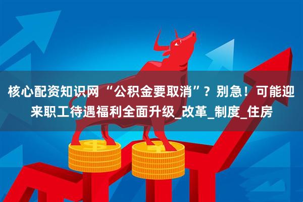 核心配资知识网 “公积金要取消”？别急！可能迎来职工待遇福利全面升级_改革_制度_住房