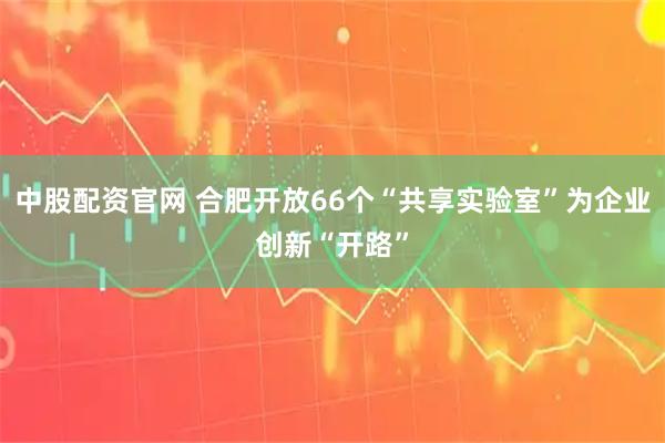 中股配资官网 合肥开放66个“共享实验室”为企业创新“开路”