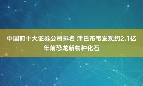 中国前十大证券公司排名 津巴布韦发现约2.1亿年前恐龙新物种化石